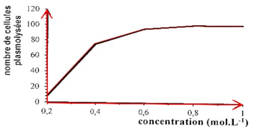 graphe cellule plasmolysee