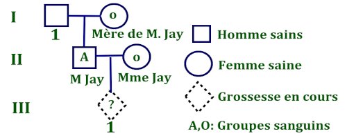 arbre genealogique