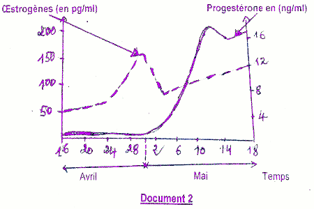 progesterone