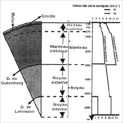 discontinuite de moho