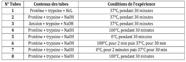 proteines